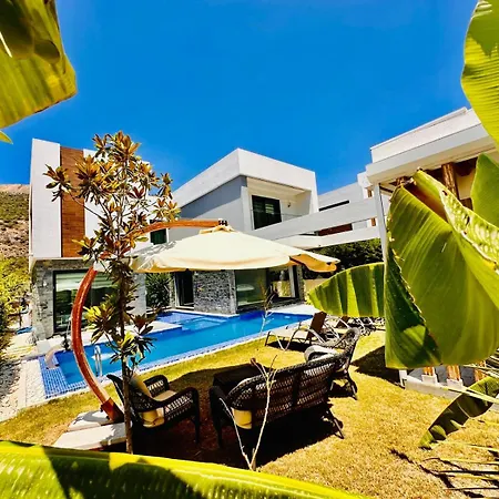 Luxury Swan 5 With Private Pool Willa Kusadası